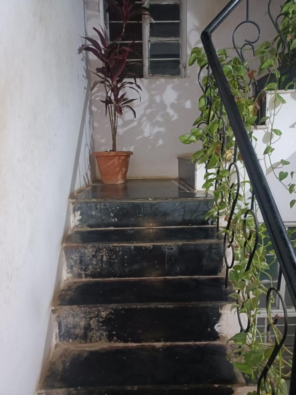 Bagol Palace Udaipur Luaran gambar