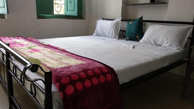 Bagol Palace Udaipur Luaran gambar